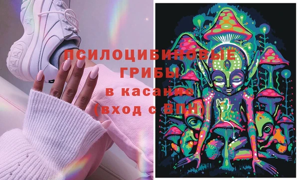 spice Заводоуковск