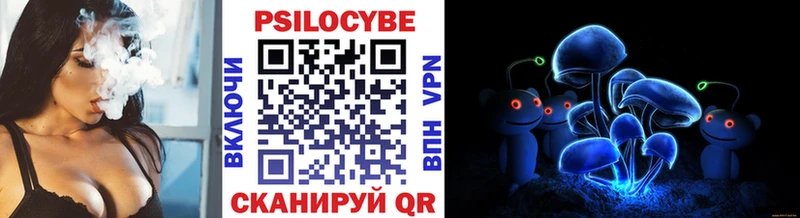 Купить где  Рассказово  Псилоцибиновые грибы Psilocybe 